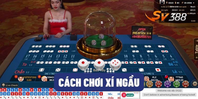 Cách chơi xí ngầu